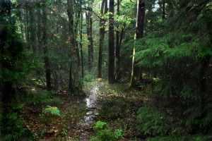 Water path