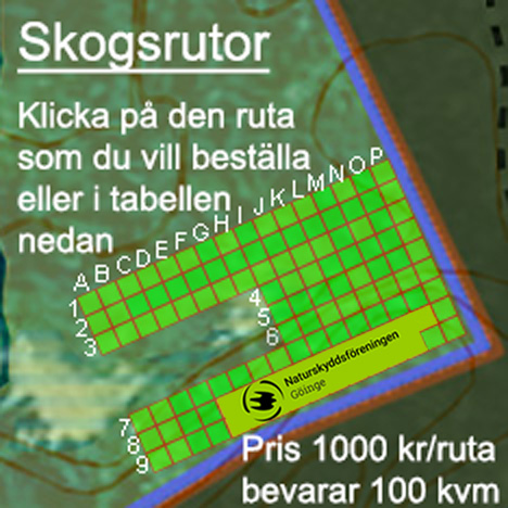 Skogsrutor i Skarnhålans gammelskog