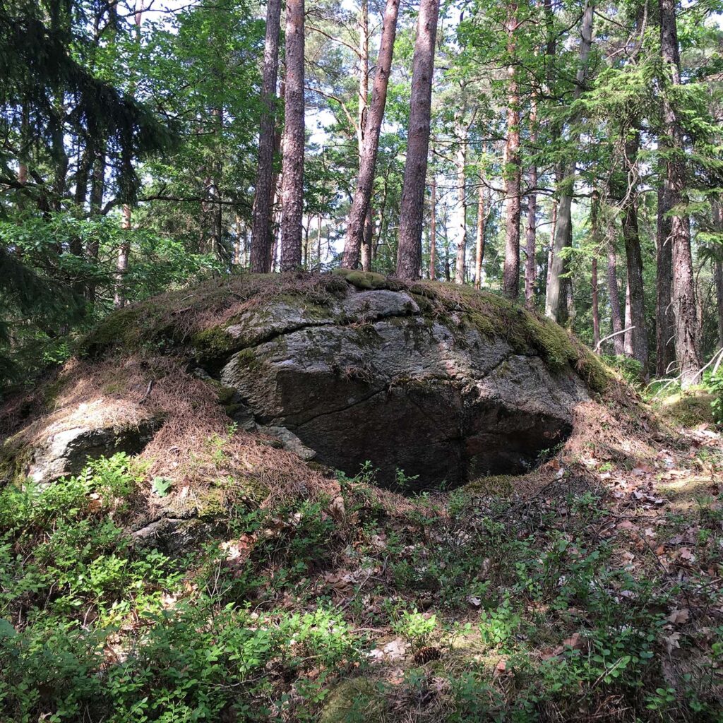 Bild av stenen Skrattande Trollet i Skarnhålans gammelskog